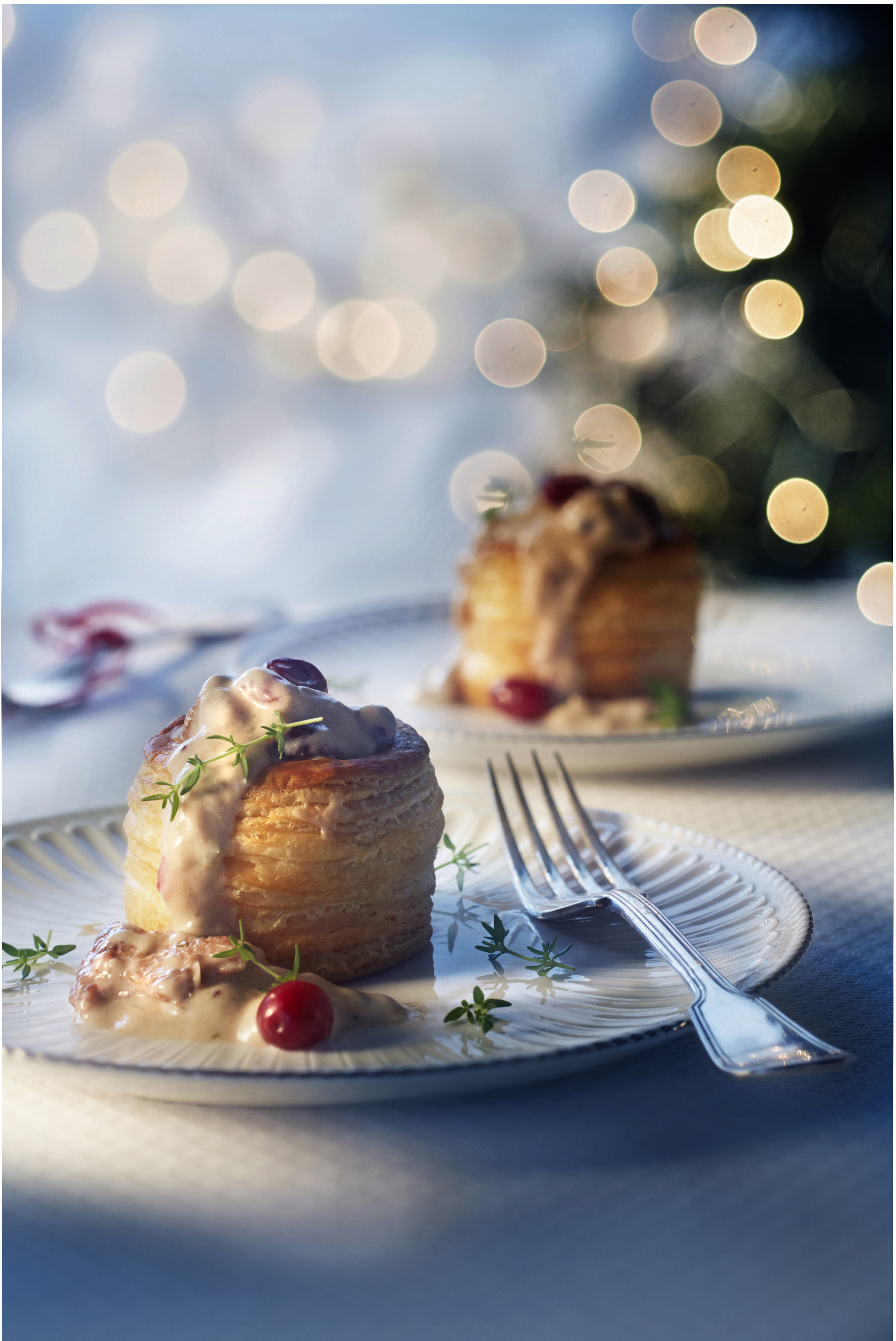 Kalkoenragout met cranberry's