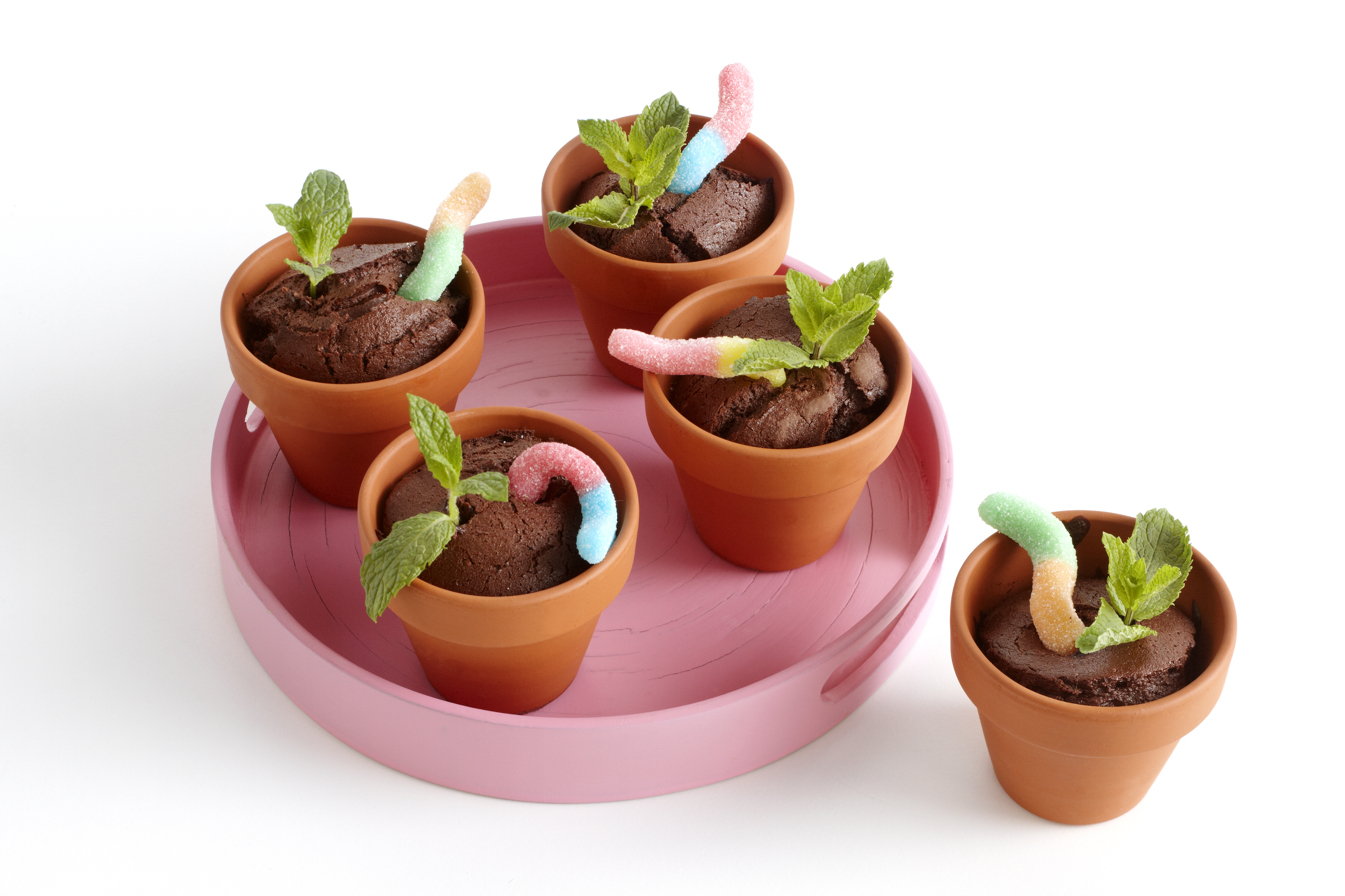 Chocolade bloempotcakejes