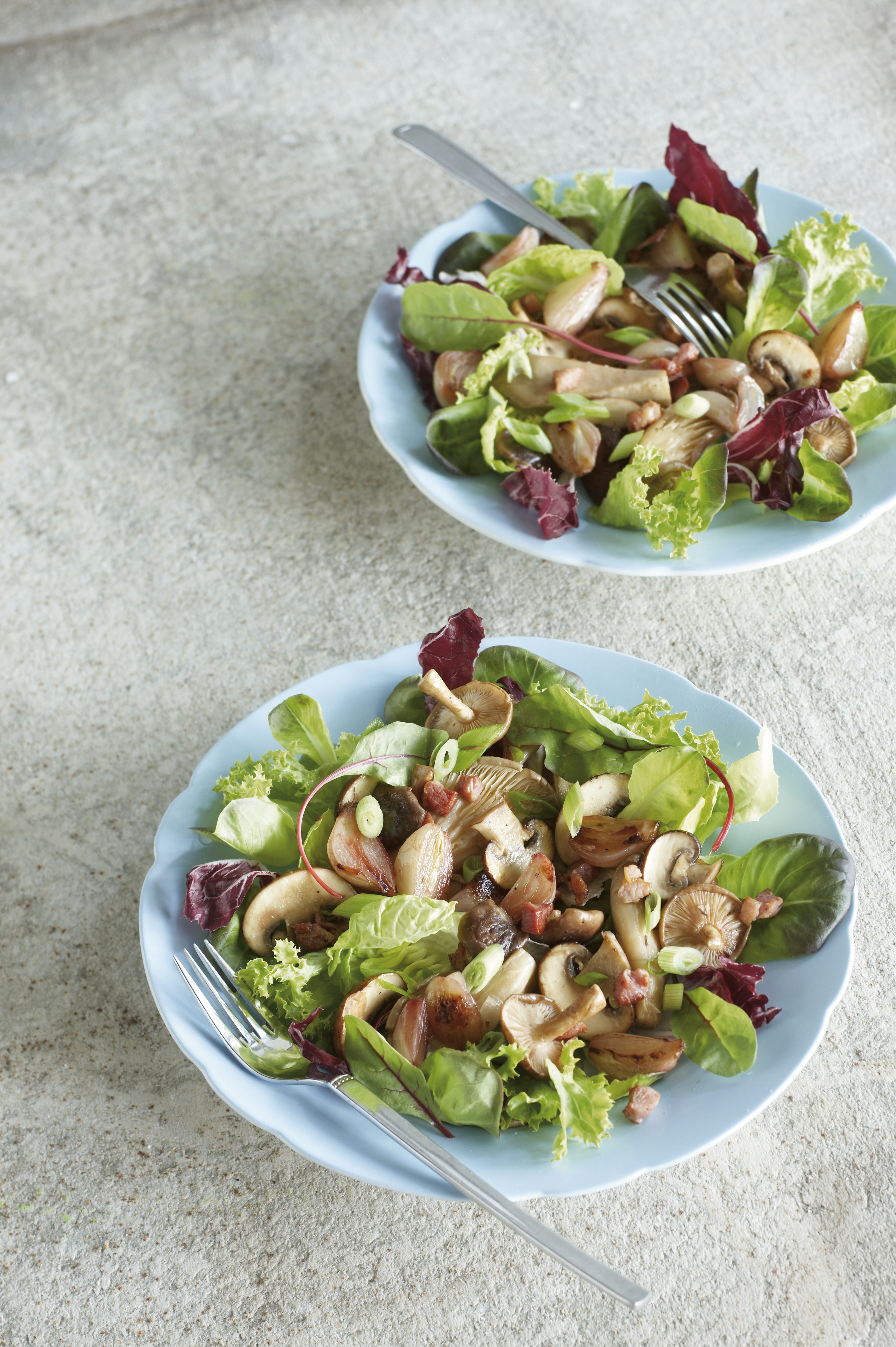 Salade met bospaddenstoelen en gekonfijte sjalotjes