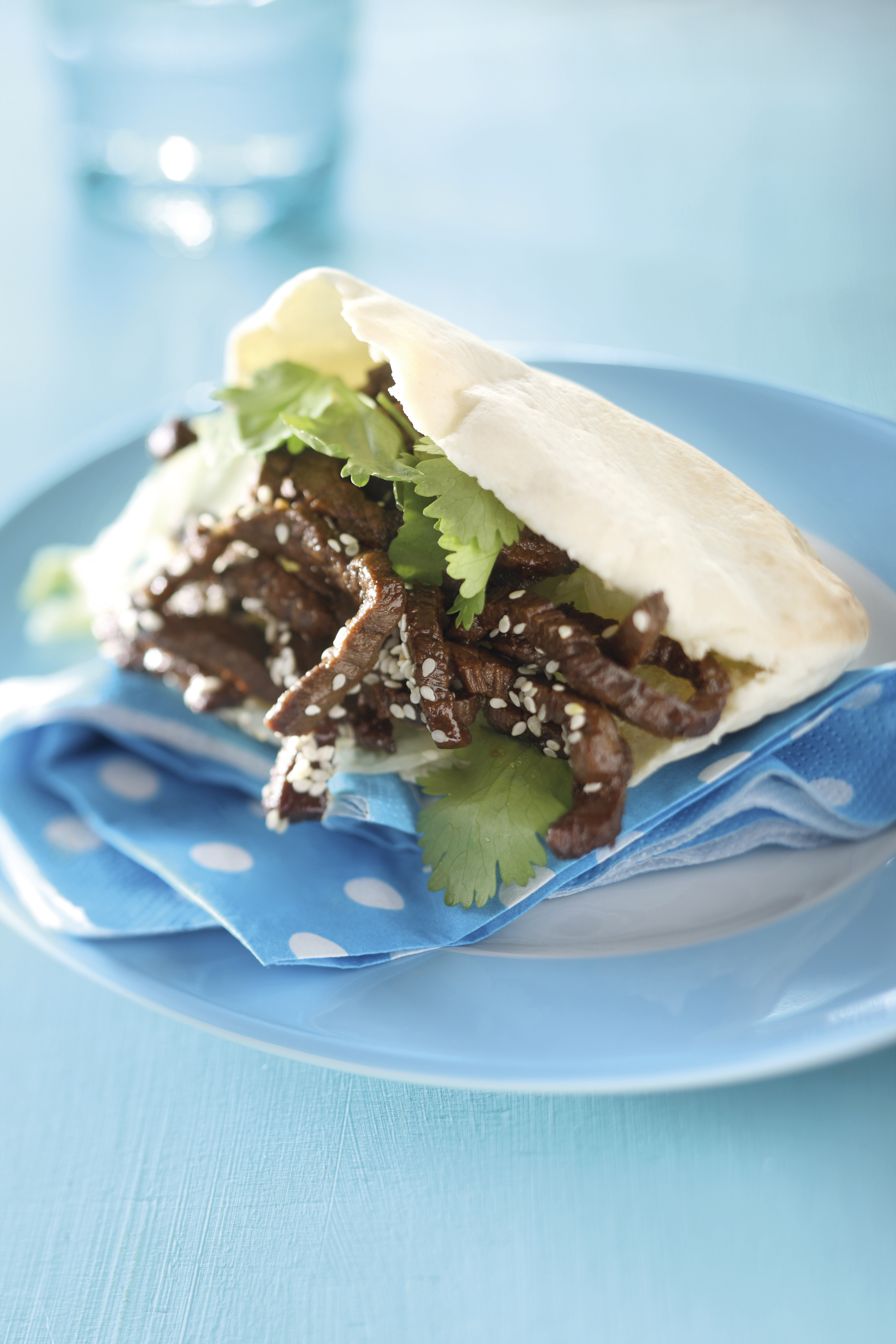 Pitabroodje met gemarineerde biefreepjes