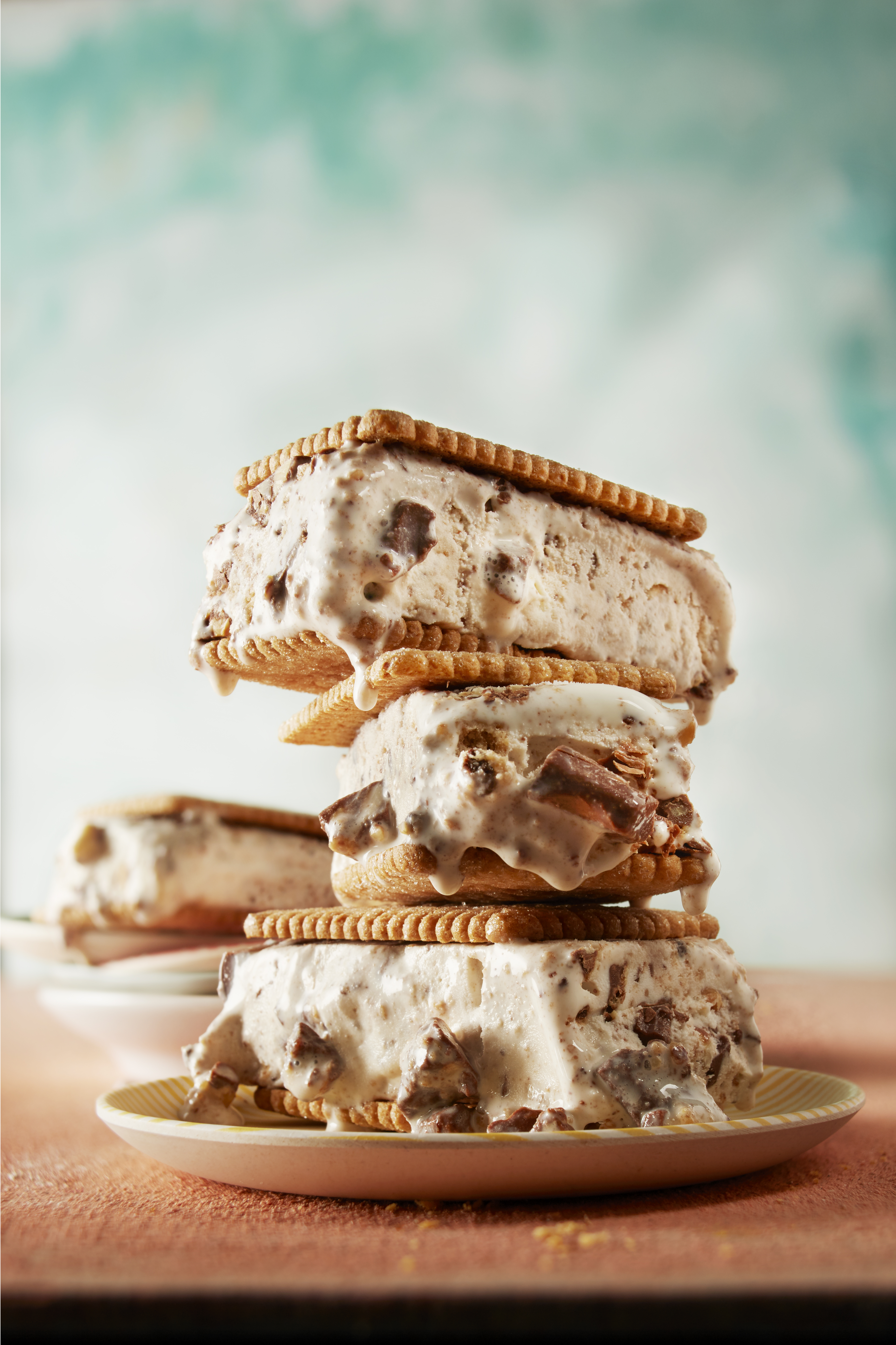 Chunky ice cream sandwich