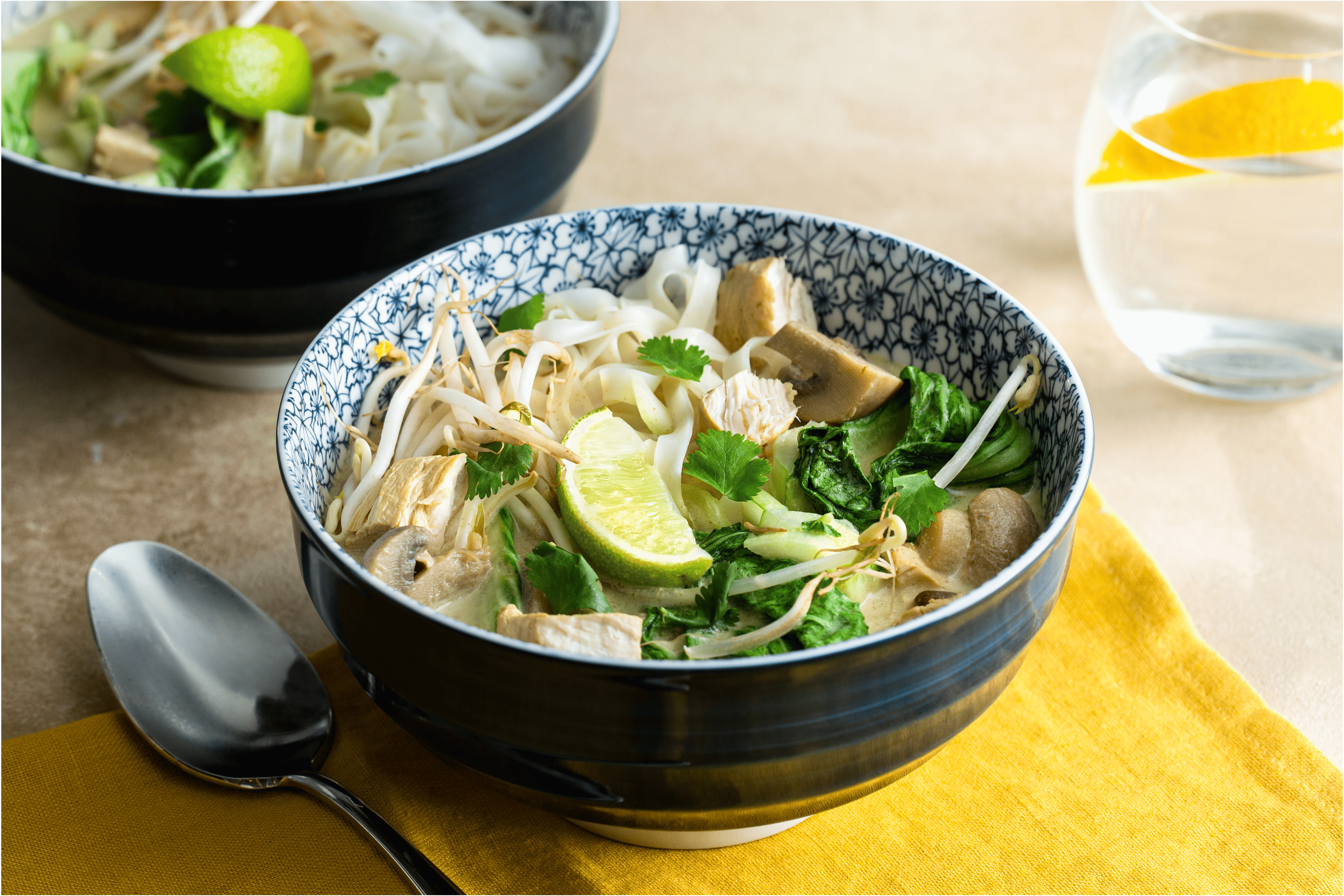 Thaise noedelsoep met kip en paksoi