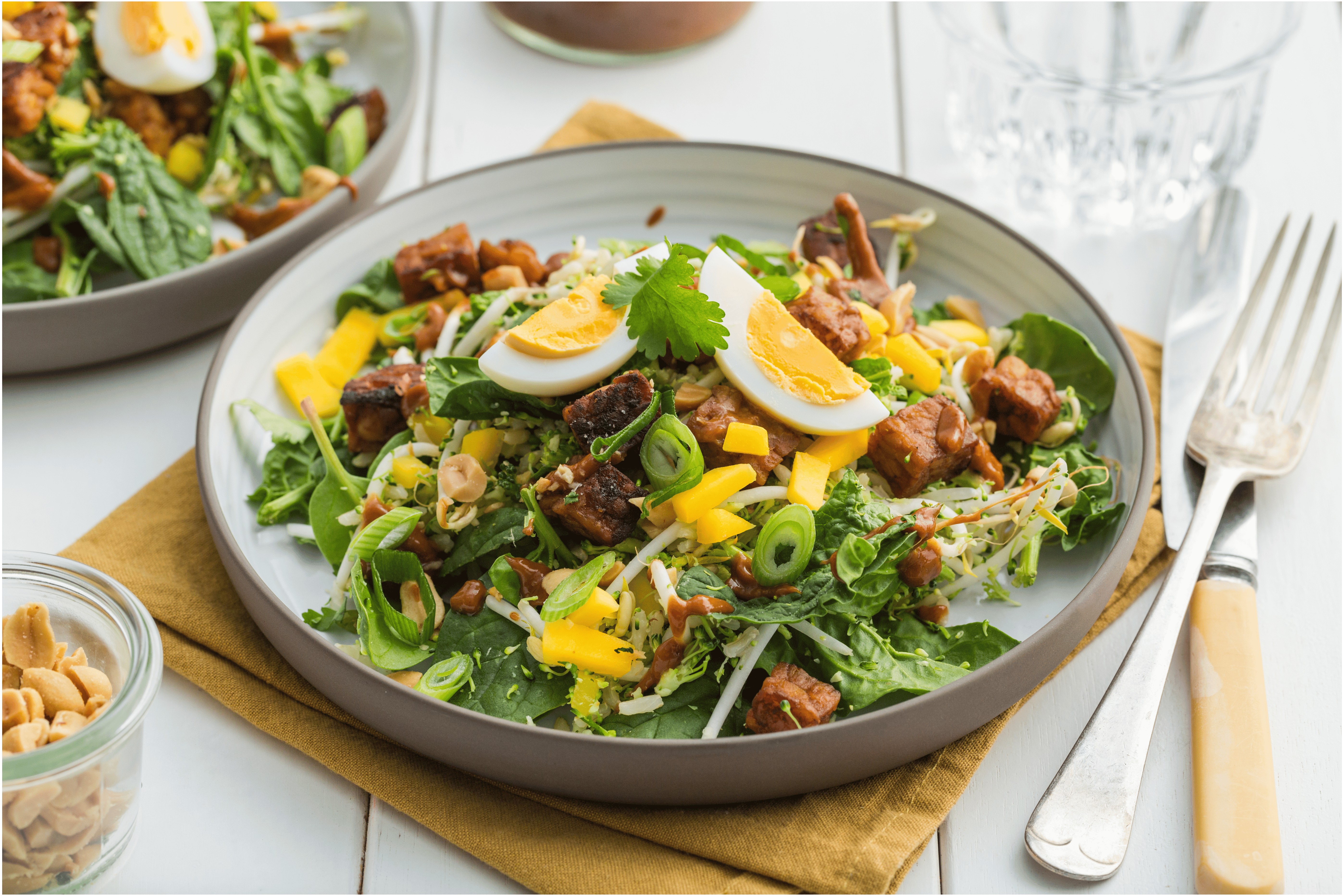 Broccoli-rijst salade met tempeh en pinda-dressing