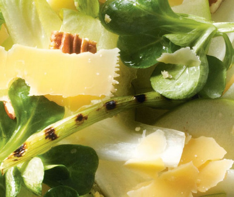 Maaltijdsalade van witlof en gegrilde lente-ui