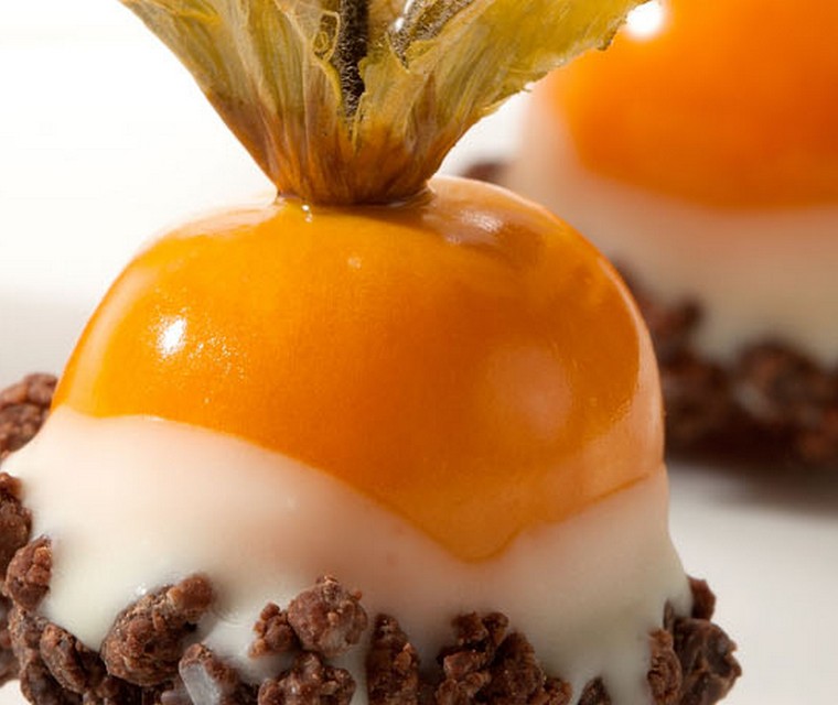 Physalis bessen gedoopt in chocolade