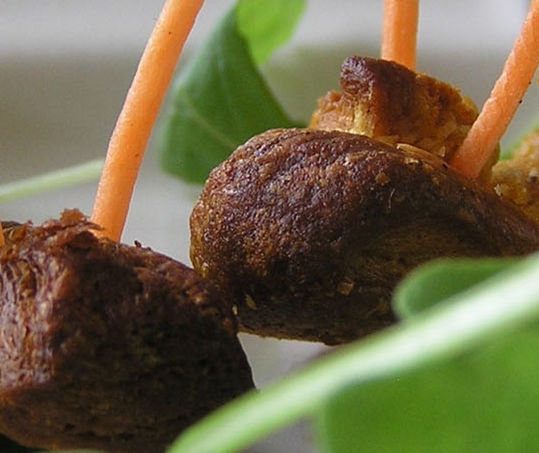 Slakjes van Johanna Brouwer