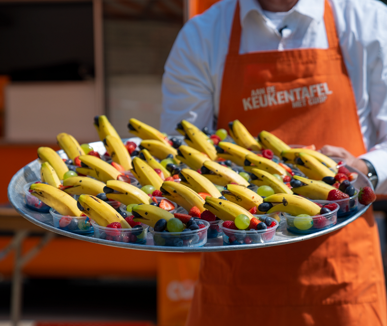 Gezonde dolfijn traktatie