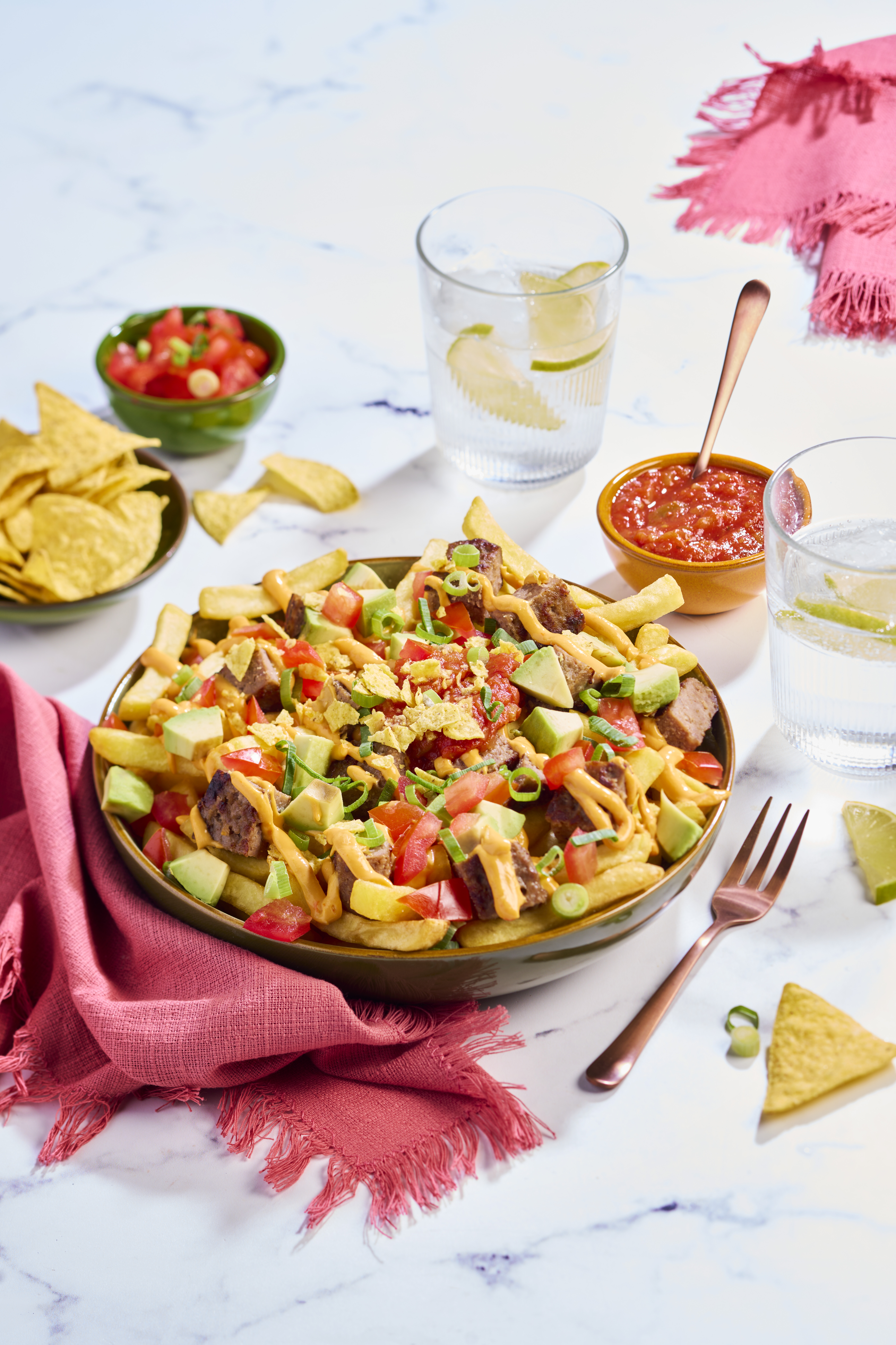 Loaded fries American style