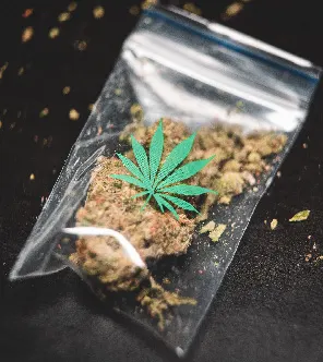 Choosing the Right Cannabis 