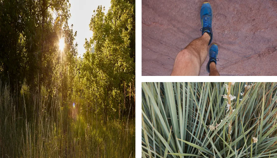 Picture collage of outdoor images