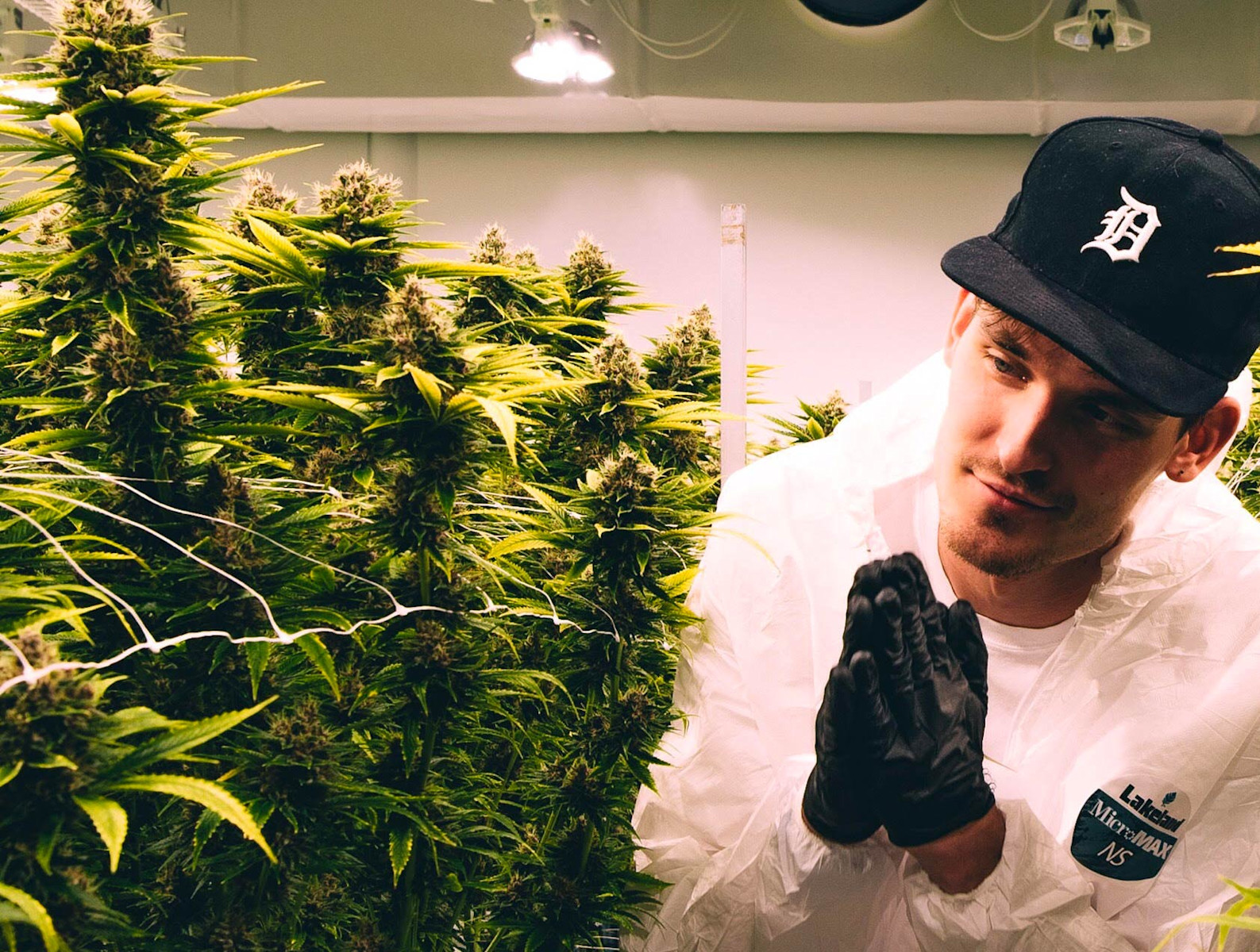 DJ Griz Viewing Pot at Native Roots Cannabis Companies Grow Facility
