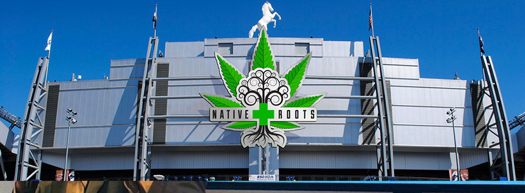 Native Roots Seeks Naming Rights of Mile High Stadium