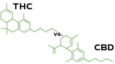 Compound Image of THC vs CBD