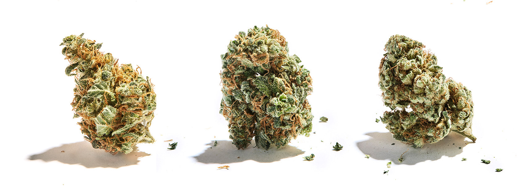 Weed nugs from Garden Variety Cannabis Company