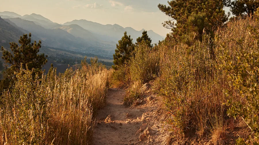 Outdoor running path with beautiful scenery