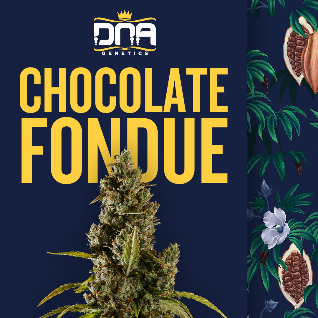DNA Genetics Chocolate Fondue