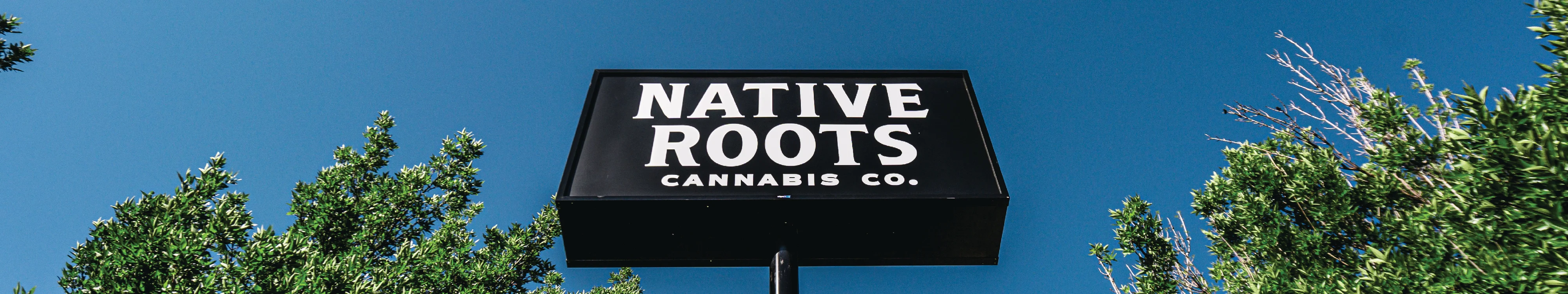 Native Roots Trinidadstore image