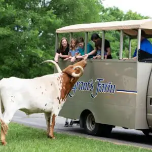 Grants-Farm-STL-300x300