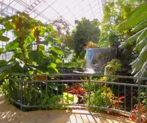 Fort-Worth-Botanical-Gardens-300x251