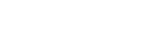 Noel Gallagher's High Flying Birds - White logo