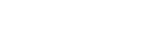 Brahms Carousel Logo