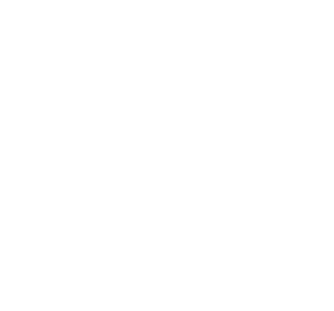 Turtle Fur