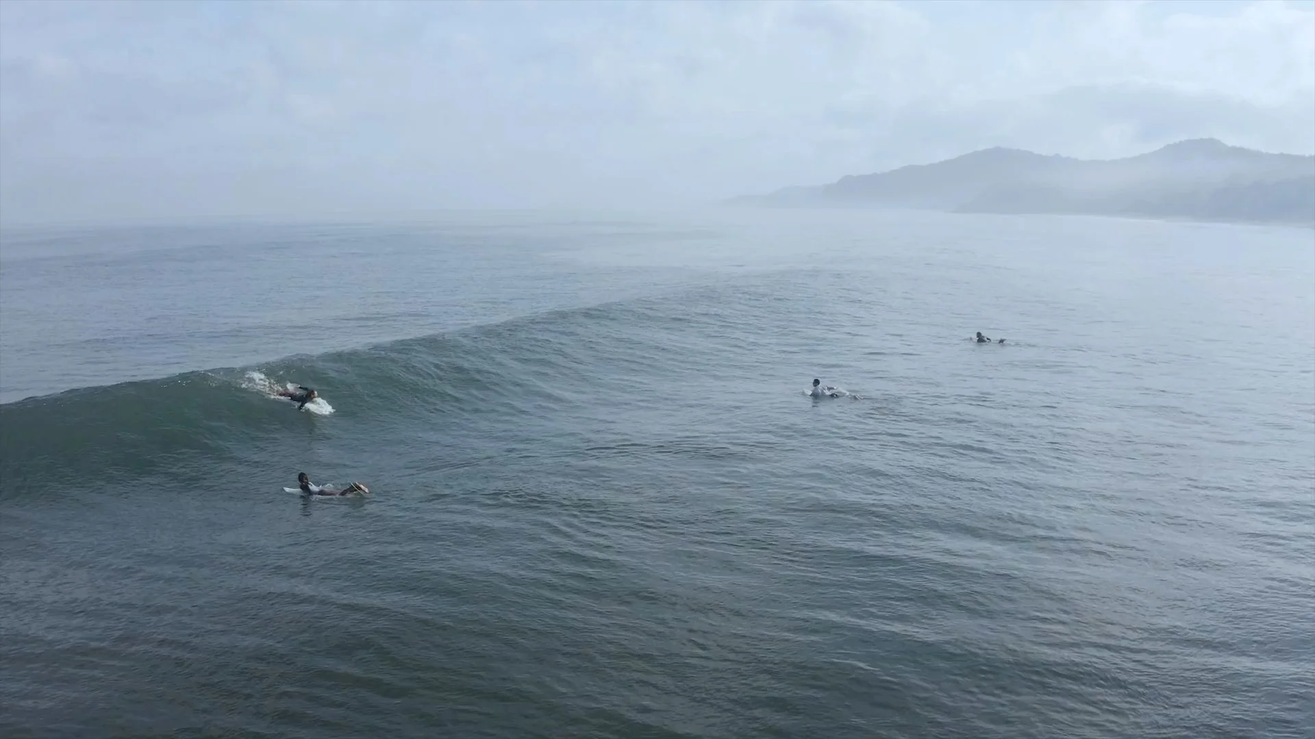 Surfers in a misty lineup