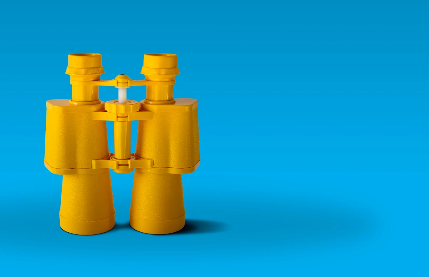 Your Guide to Website Accessibility in 2020