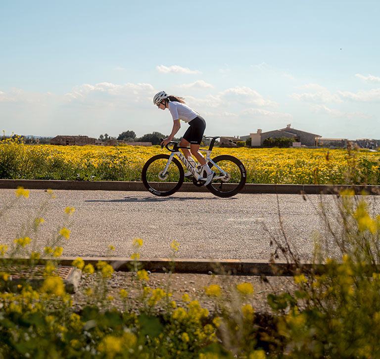 Long distance fashion road bike