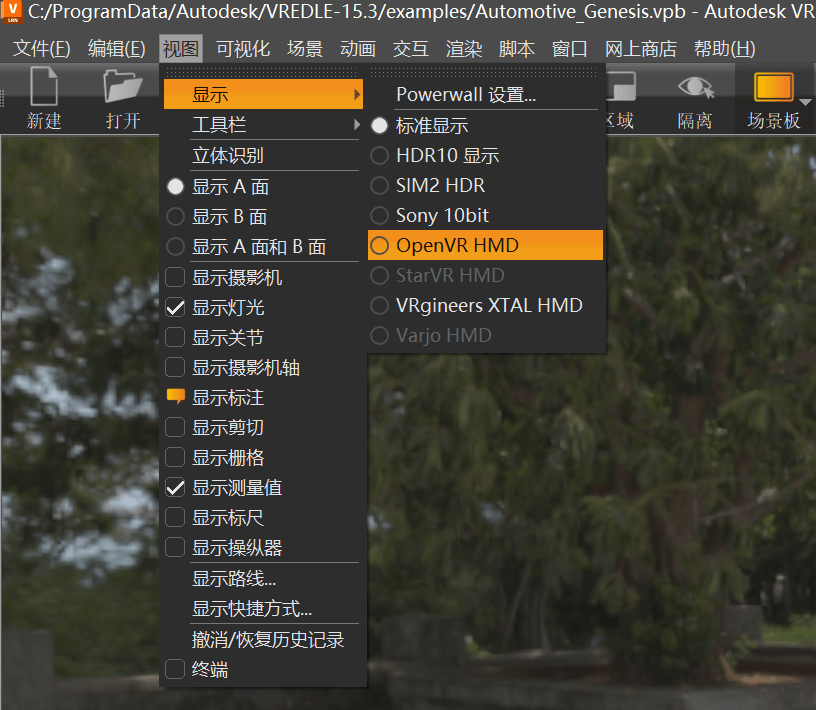 选择视图--> 显示--> OpenVR HDM
