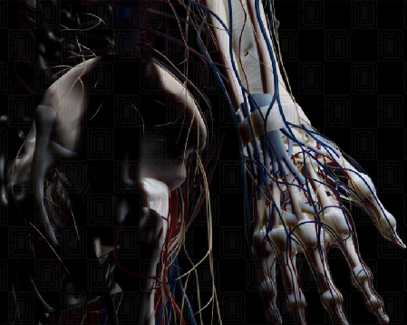 虚拟仿真人体解剖