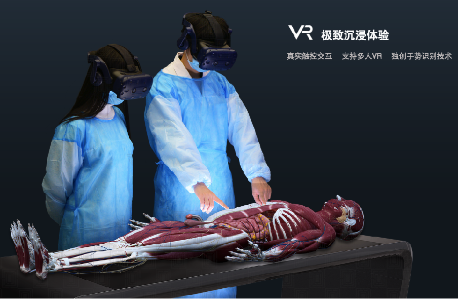 虚拟仿真在人体解剖的应用