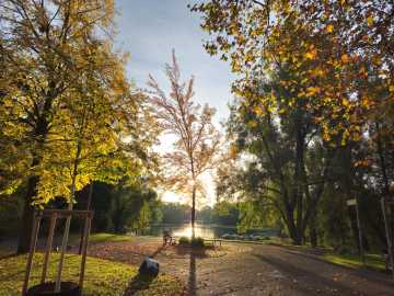 Herbststimmung