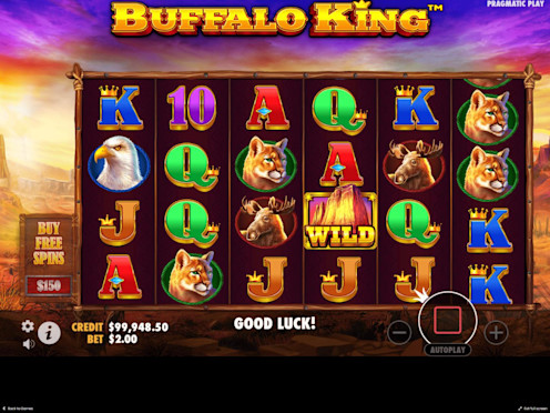 Buffalo Screenshot 1