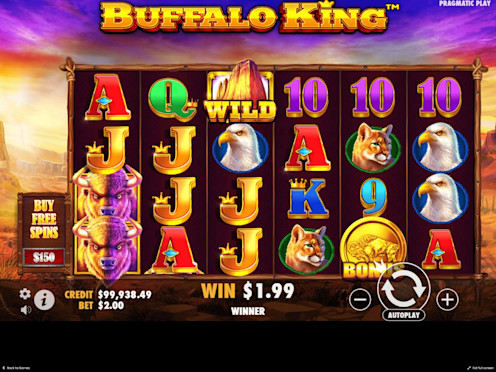 Buffalo Screenshot 4
