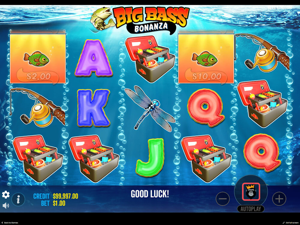 Big Bass Bonanza Screenshot 2