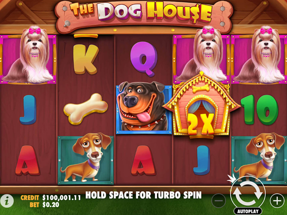 The dog house