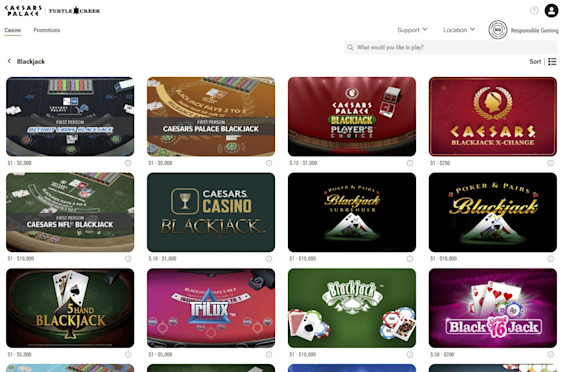 Caesars Palace Michigan Screenshot 3