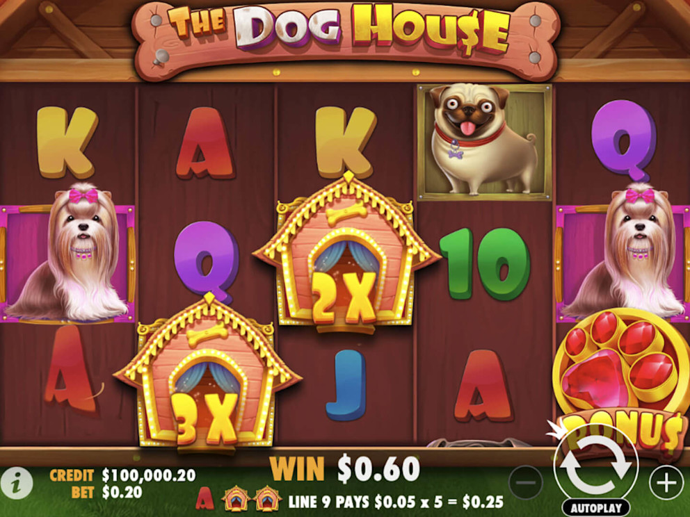 The dog house