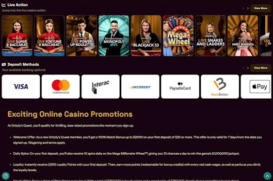 Grizzly's Quest screenshot 4