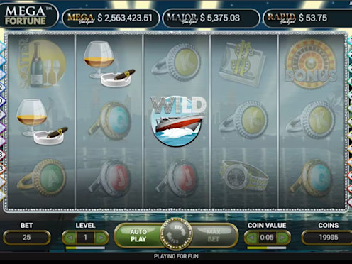 Mega Fortune Screenshot 5