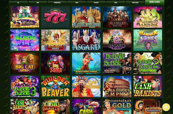 Springbok Casino Screenshot 2
