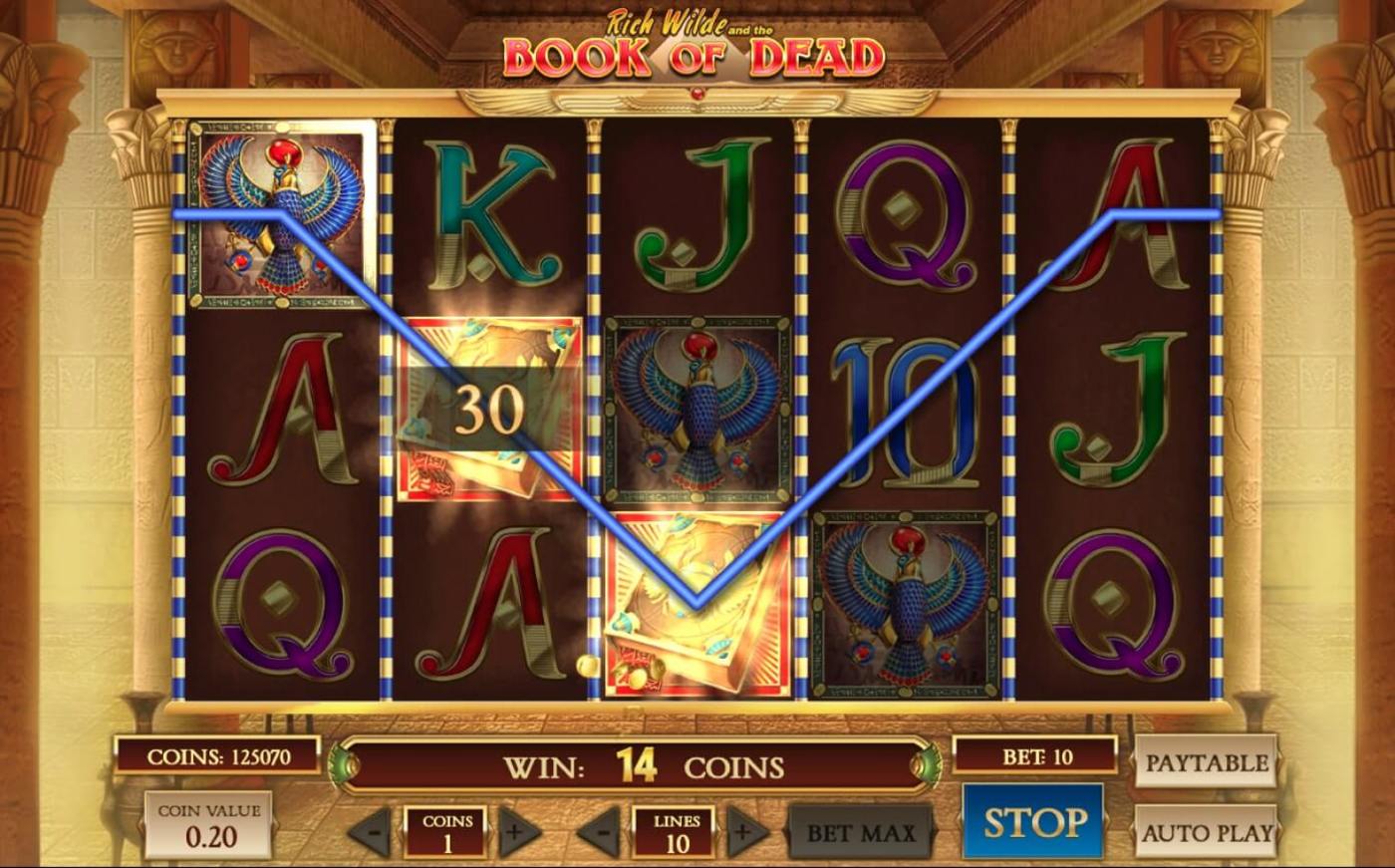 Book of Dead Slot Screenshot
