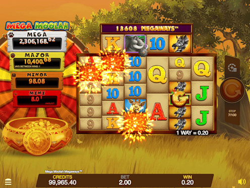 Mega Moolah Screenshot 1