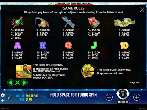 Big Bass Bonanza Screenshot 3