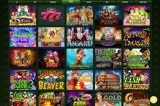 Springbok Casino Screenshot 5