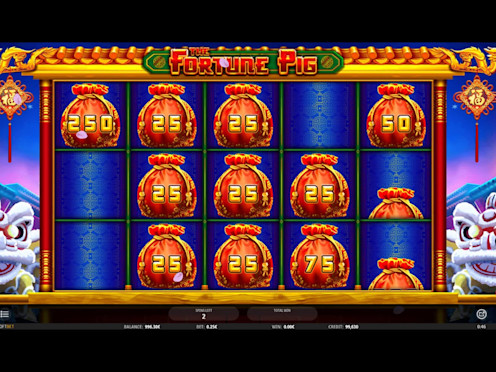 Fortune Pig Screenshot 3