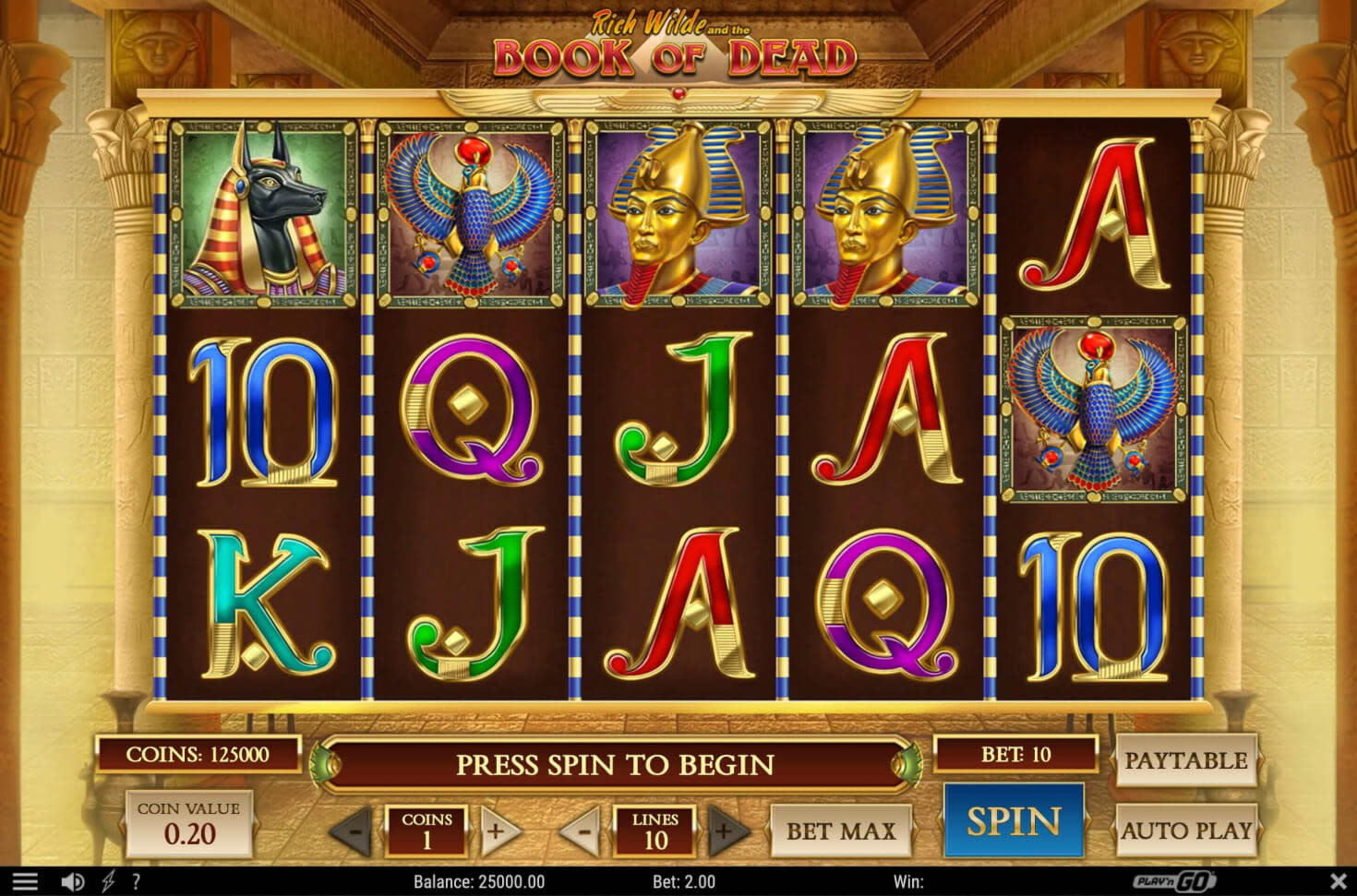 Playzee Book of Dead - Play'n GO slot