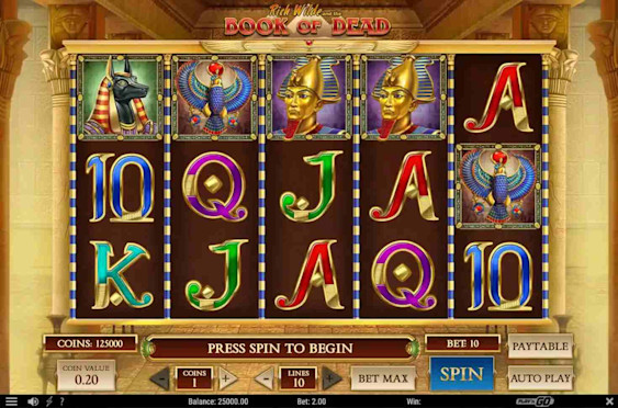 Playzee Book of Dead - Play'n GO slot