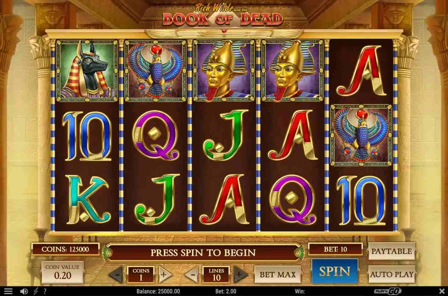 Playzee Book of Dead - Play'n GO slot